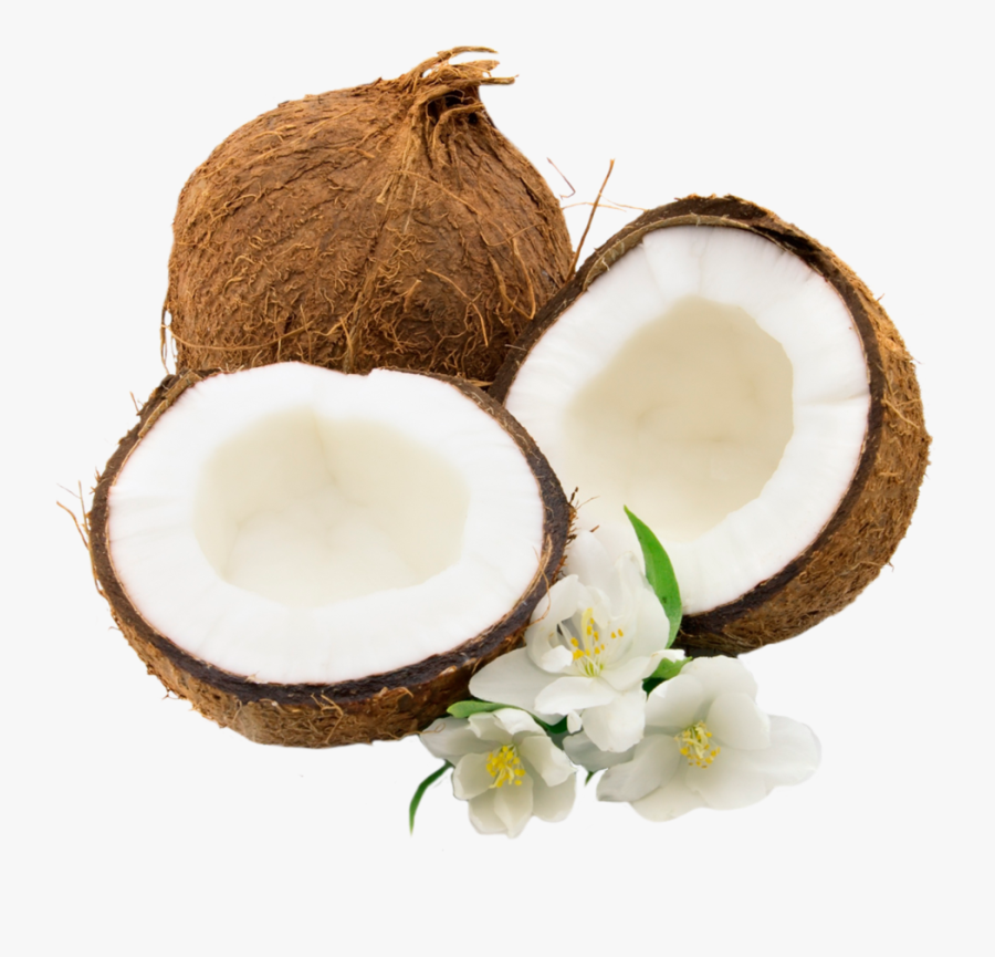 Coconuts Png Free Images - Coconut Png, Transparent Clipart