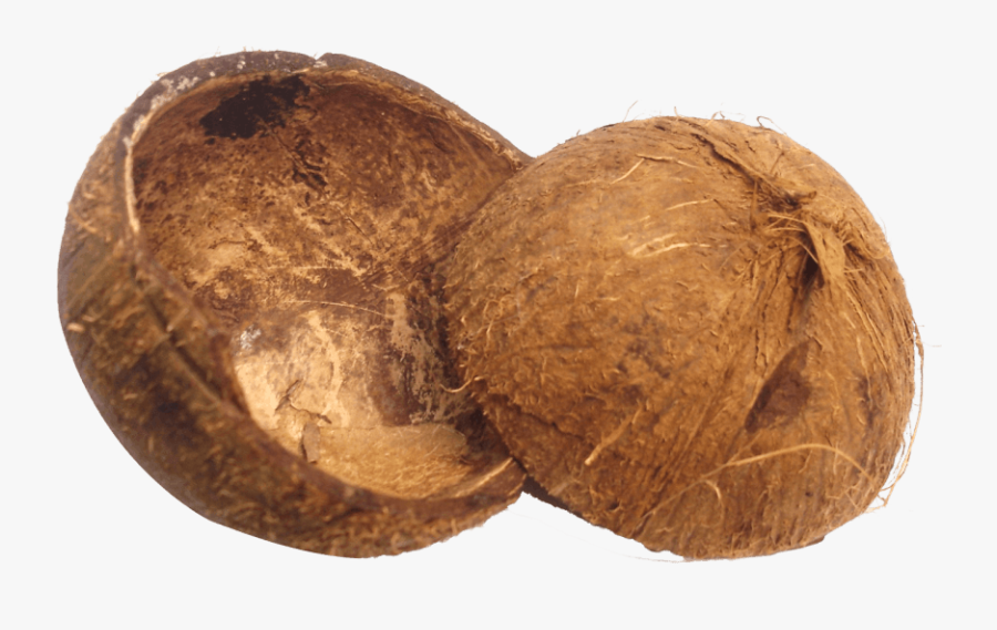 Clip Art Png Free Images Toppng - Coconut Husk Png, Transparent Clipart