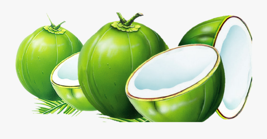 #mq #green #coconut #coconuts - Green Coconut Transparent Background, Transparent Clipart