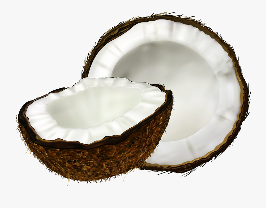 Coconut No Background, Transparent Clipart