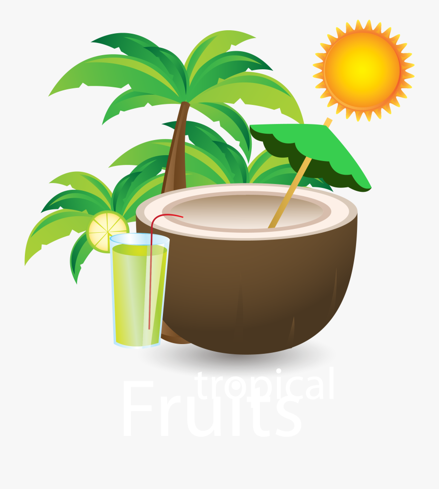 Download Summer Drink Material - Coconut Tree With Fruit Vector, Transparent Clipart