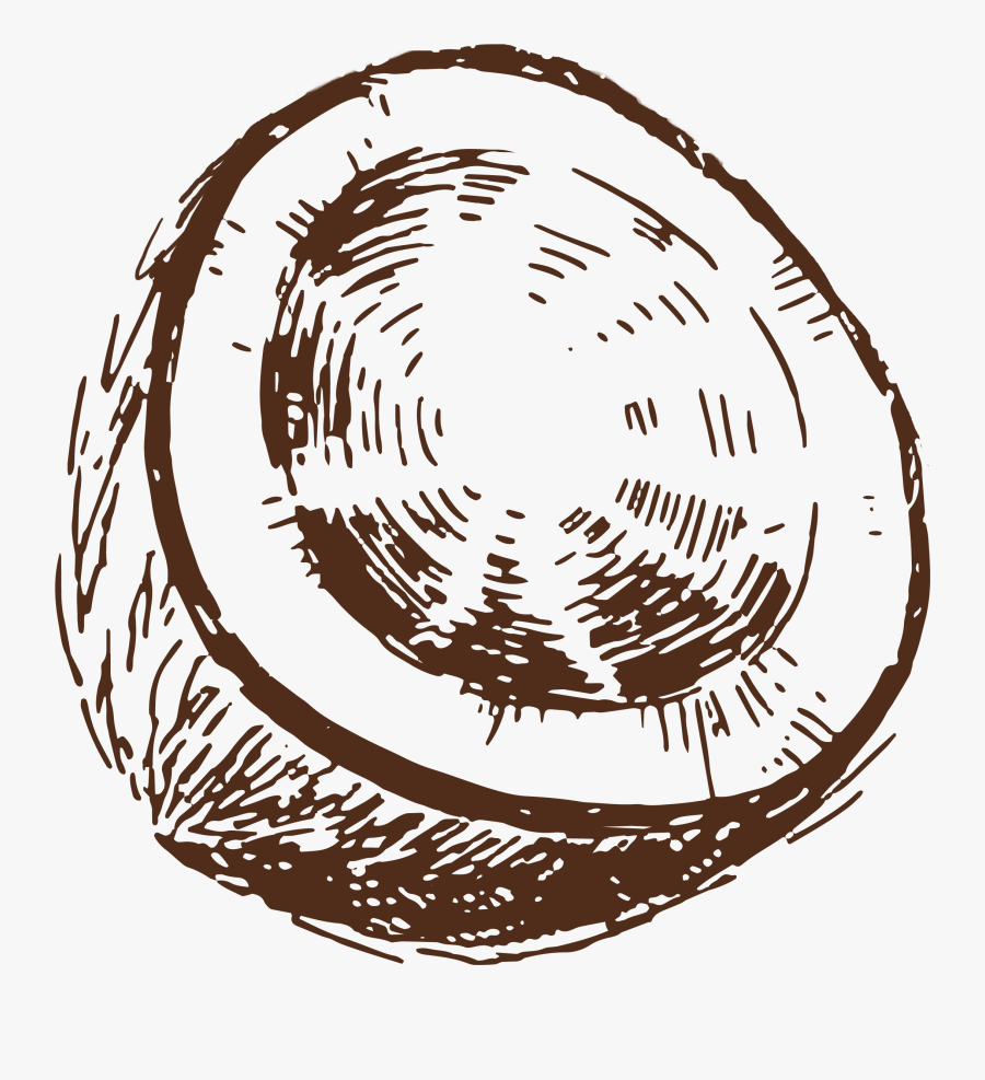 Transparent Coconut Clipart Png - Half Coconut Drawing Png, Transparent Clipart