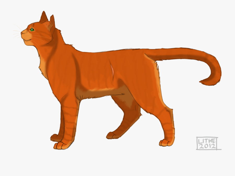 Warrior Cat Drawings Firestar - Firestar By Lithestep, Transparent Clipart