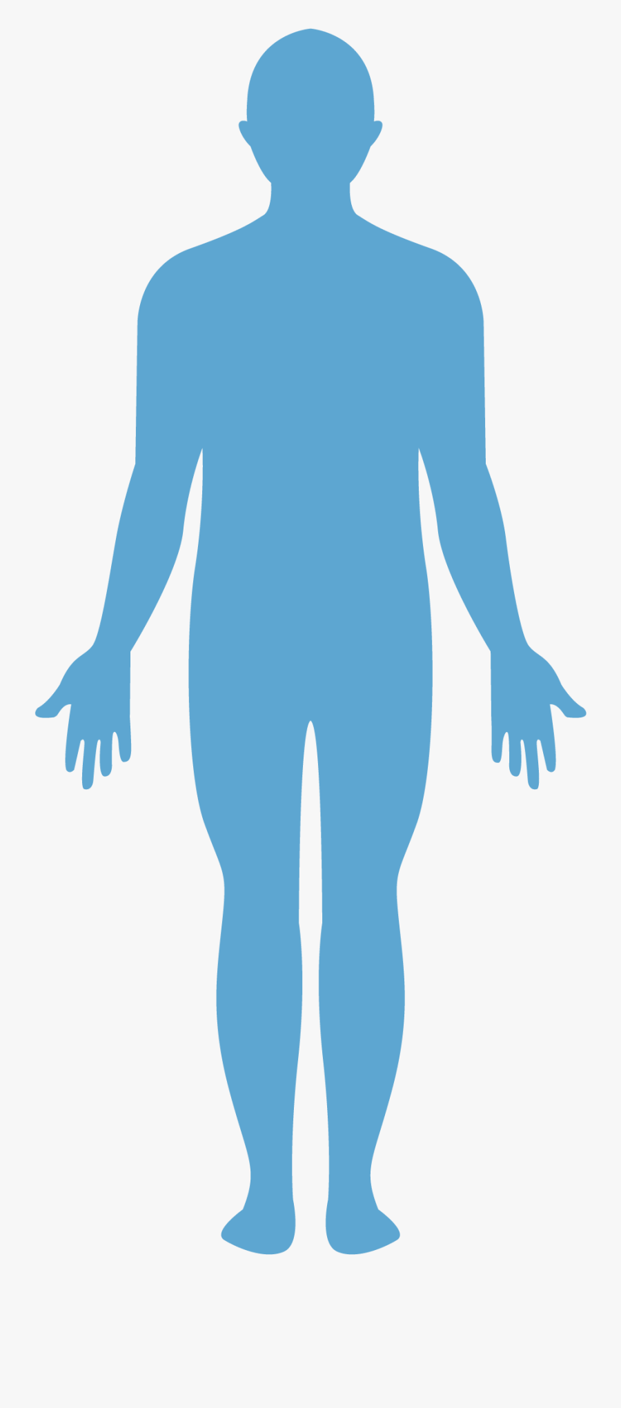 Anatomia Silhueta, Transparent Clipart