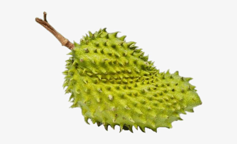 Whole Soursop - Soursop, Transparent Clipart