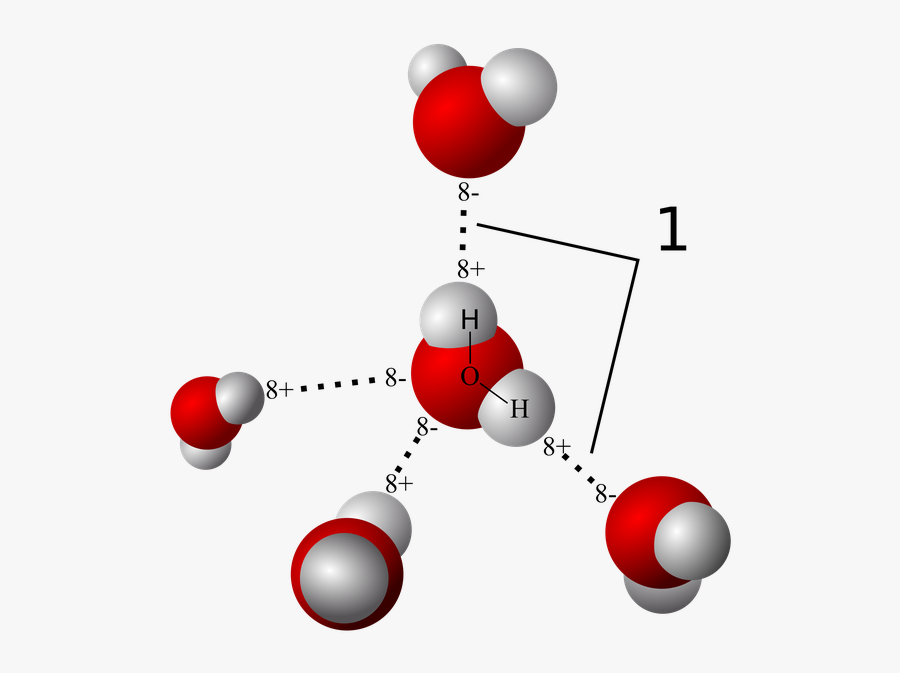 Molecule Clipart Water Molecule - Hydrogen Bonding, Transparent Clipart
