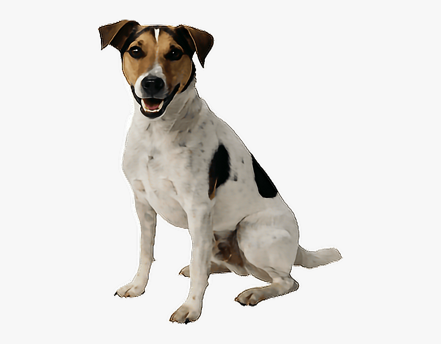 Transparent Cute Dogs Png - Dog Transparent, Transparent Clipart