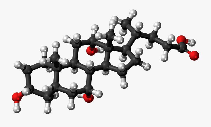 Molecular Structure Png Clipart - Cholic Acid 3d Structure, Transparent Clipart