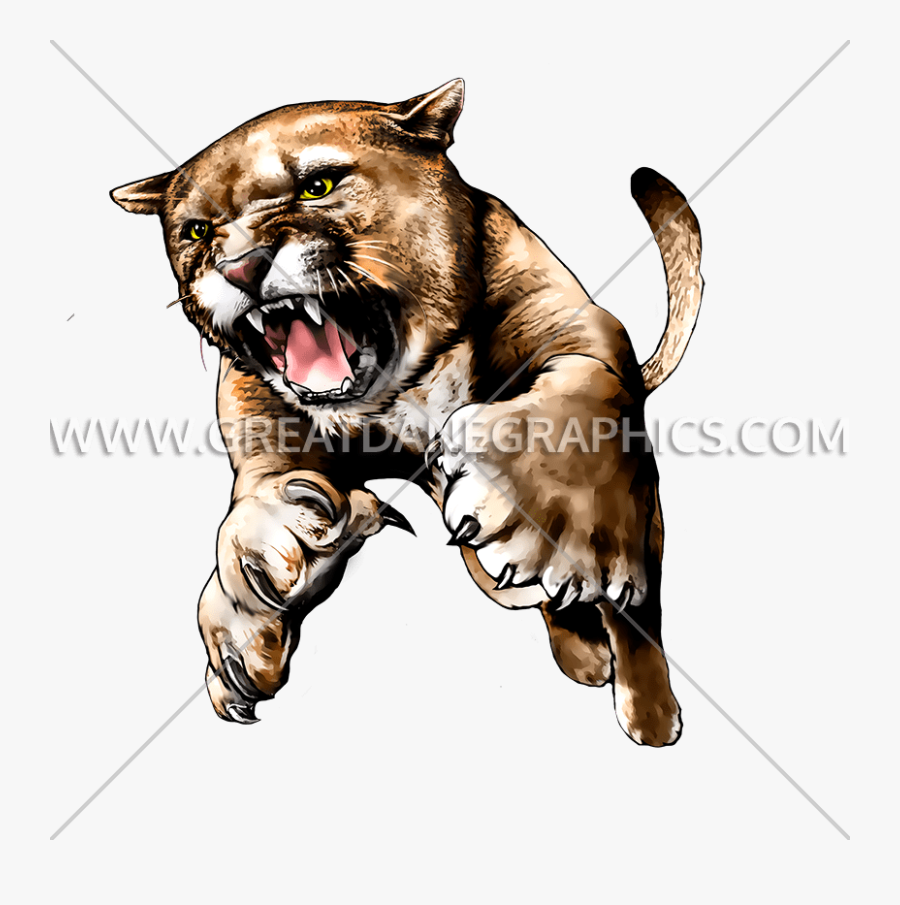 Cougar Clipart Animal Body - Clip Art, Transparent Clipart