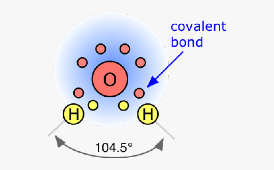 Structural Diagram Of A Water Molecule, Transparent Clipart