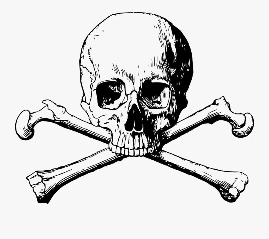 Crossbones, Skull, Danger, Death, Halloween, Dead - Skull And Bones Png, Transparent Clipart