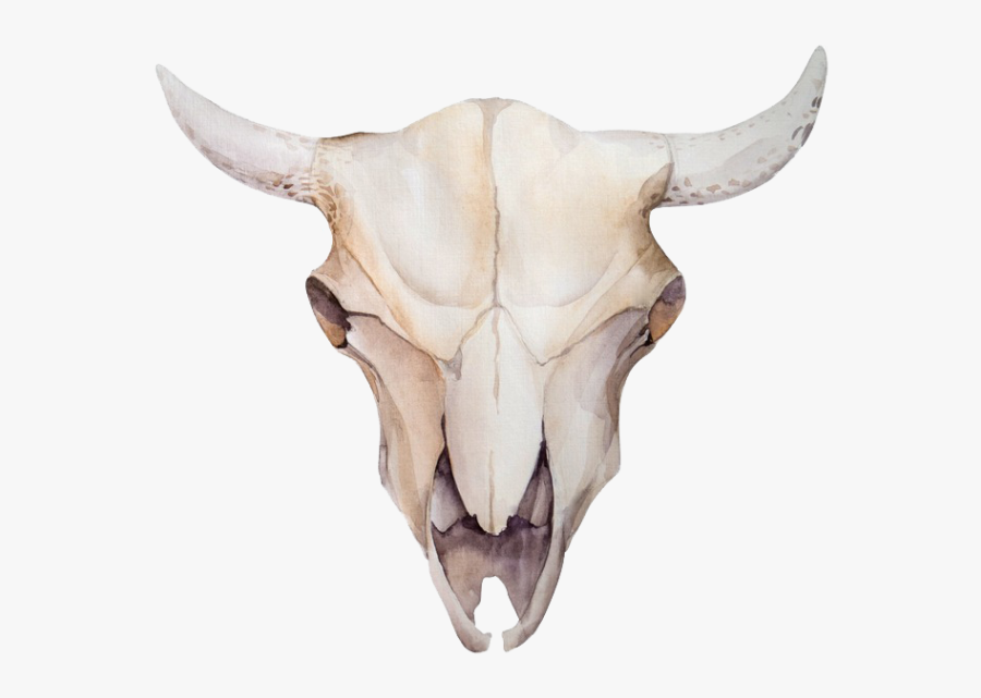 Animal Skulls Skeleton Bone - Sheep Skull With Flowers, Transparent Clipart