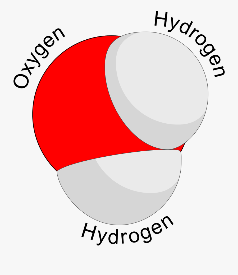 Transparent Oxygen Molecule Clipart - Water Molecule Thick, Transparent Clipart