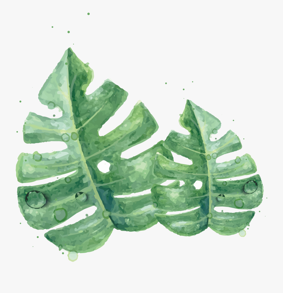 Transparent Watercolor Leaves Png - Green Watercolor Png, Transparent Clipart
