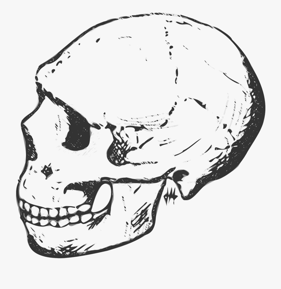 Black And White Skull And Png, Transparent Clipart