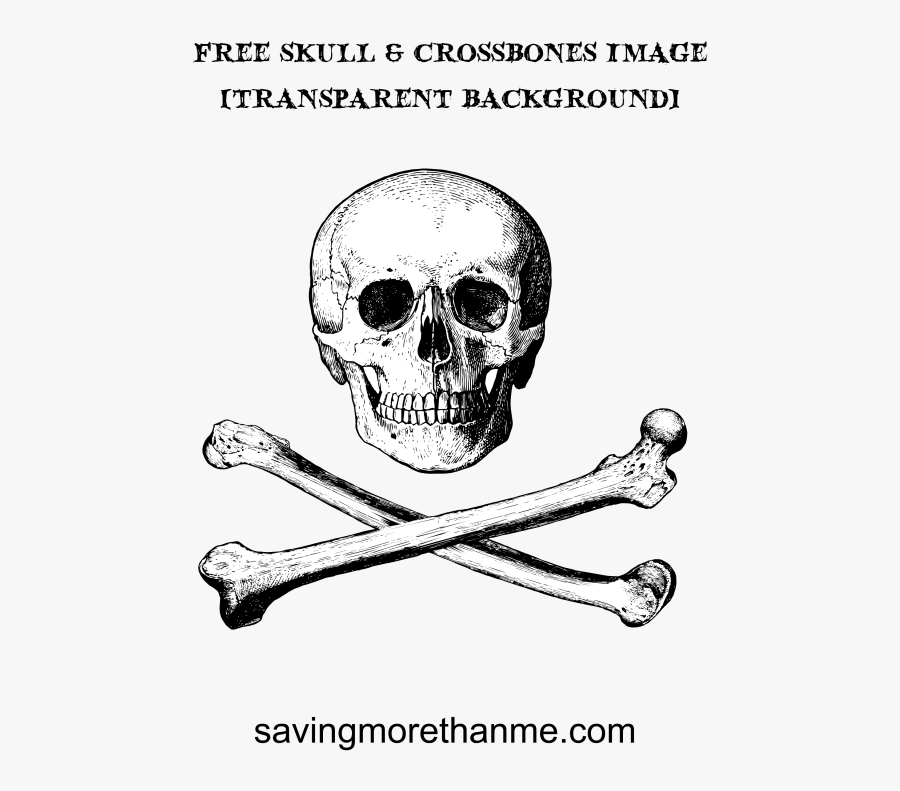 Free Skull And Crossbones Clip Art - Skull The Word, Transparent Clipart