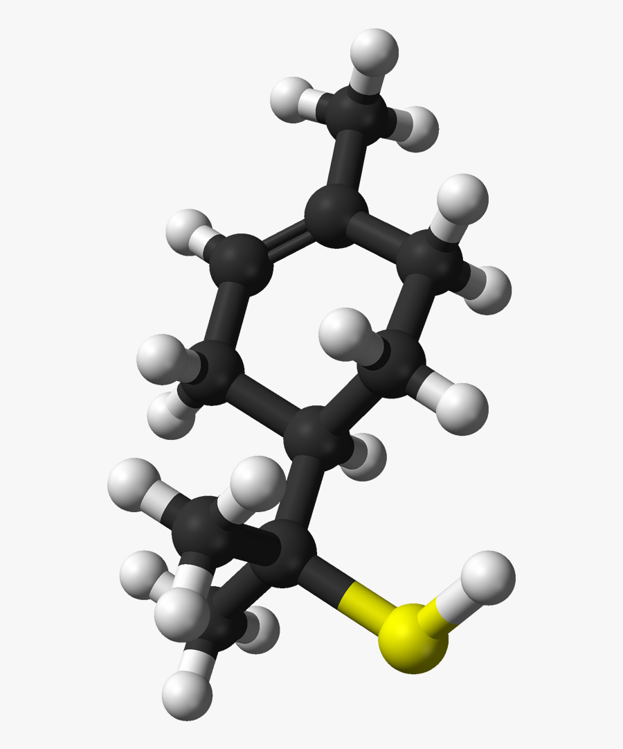Mercaptano Da Toronja - Terpineol Molecule, Transparent Clipart