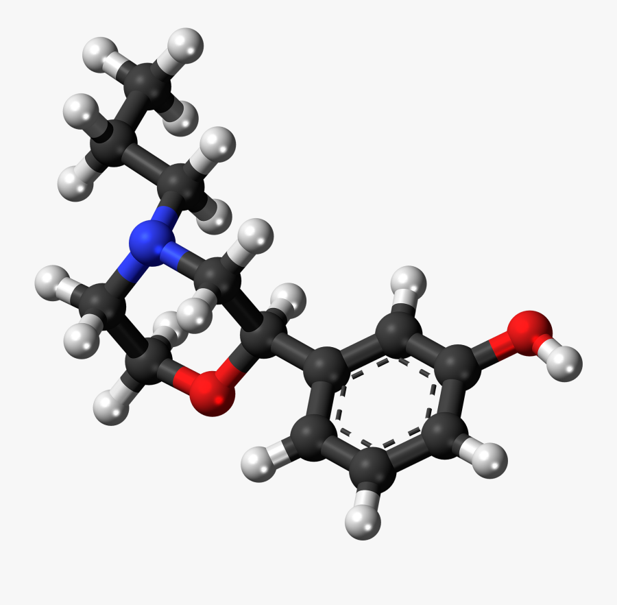 Transparent Dumbbell Icon Png - Molecule, Transparent Clipart