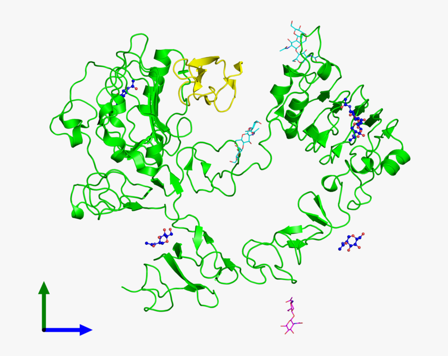 Molecules Png Hd - Human Egf, Transparent Clipart