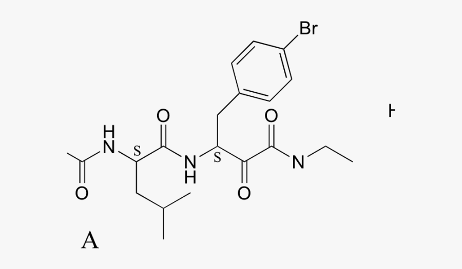 Sericin Structure, Transparent Clipart