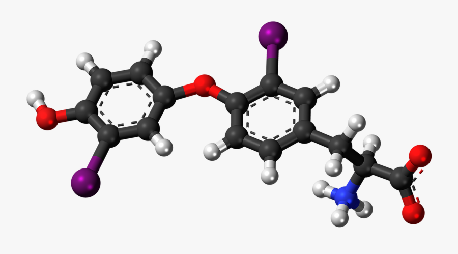 Molecule, Transparent Clipart