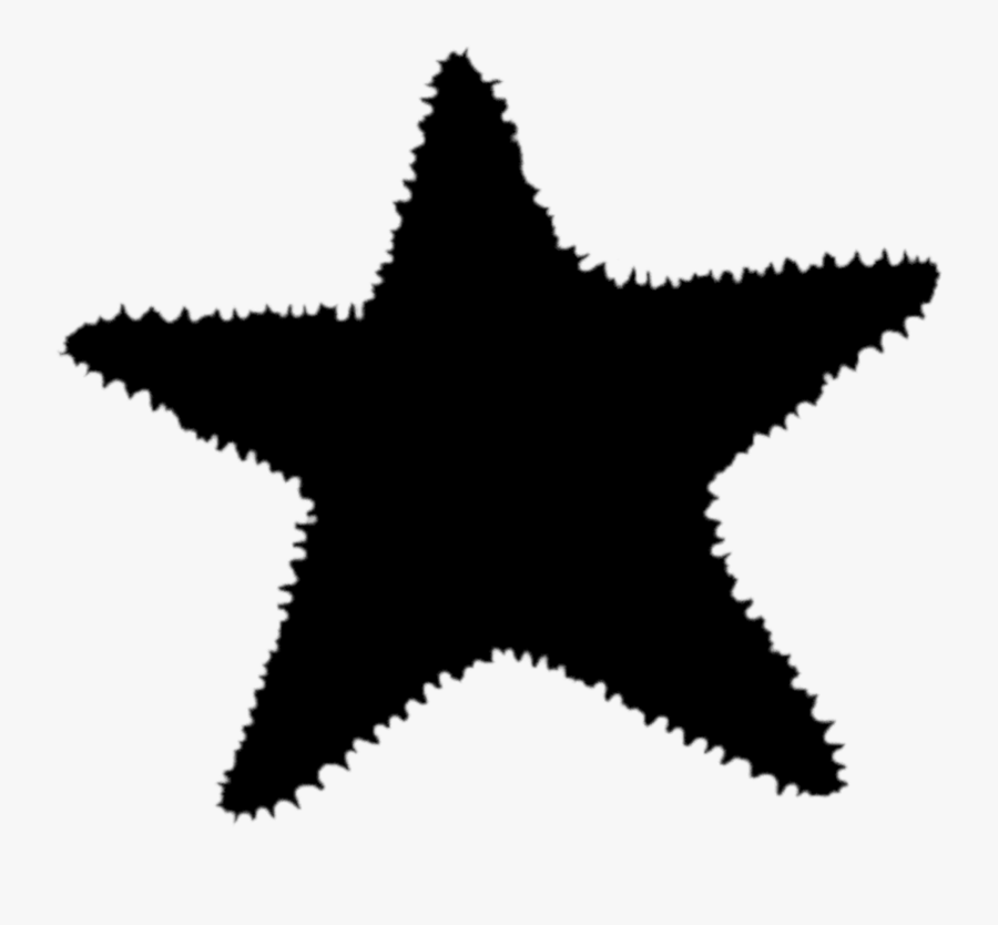 Transparent White Starfish Png - Université Paris Dauphine Psl, Transparent Clipart