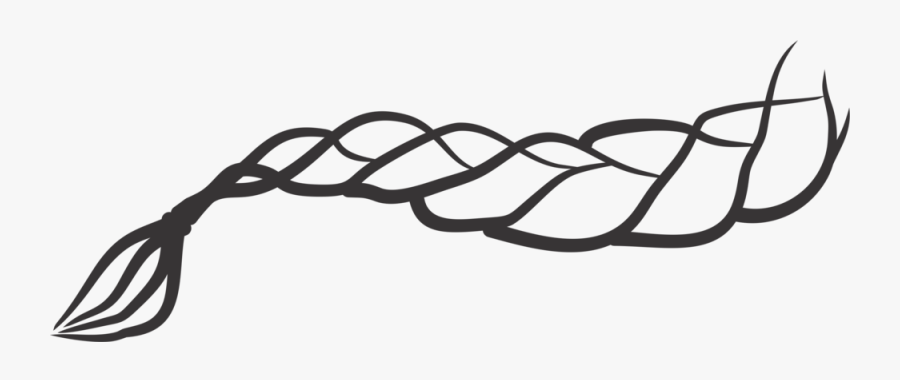 Braid Png , Free Transparent Clipart - ClipartKey