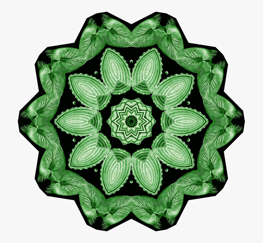 Plant,flower,leaf - Illustration, Transparent Clipart