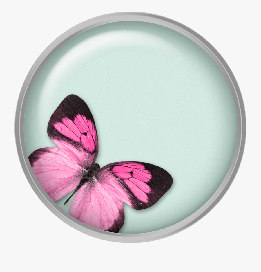 Butterfly, Transparent Clipart
