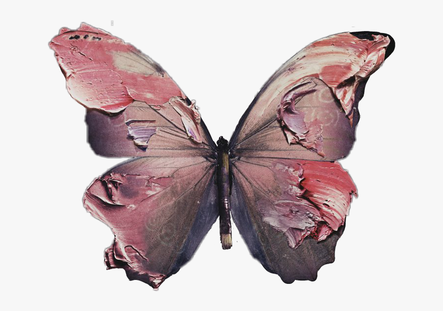 #beforeyouexit #butterfly #silence - Before You Exit Silence, Transparent Clipart