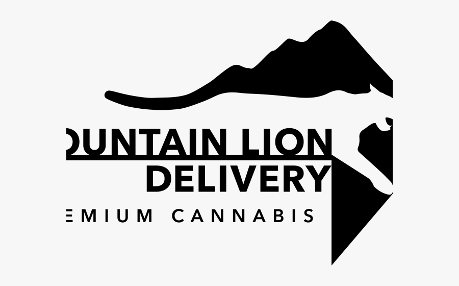 Graphic Design, Transparent Clipart