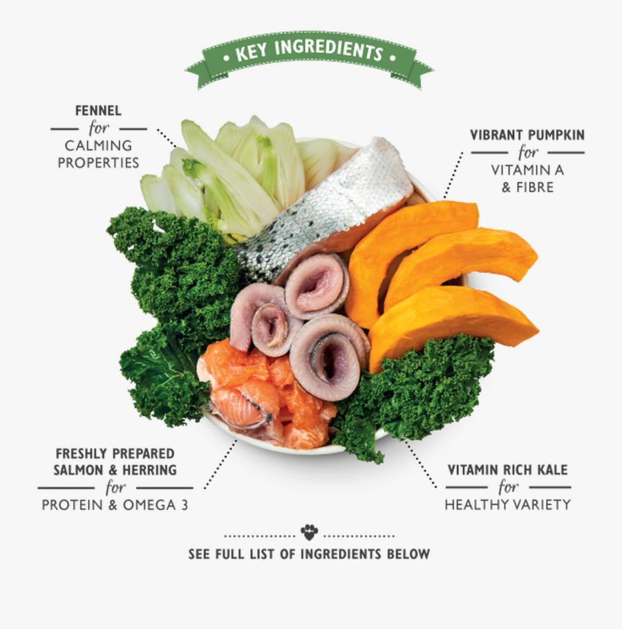 Transparent Supper Clipart - Broccoli, Transparent Clipart