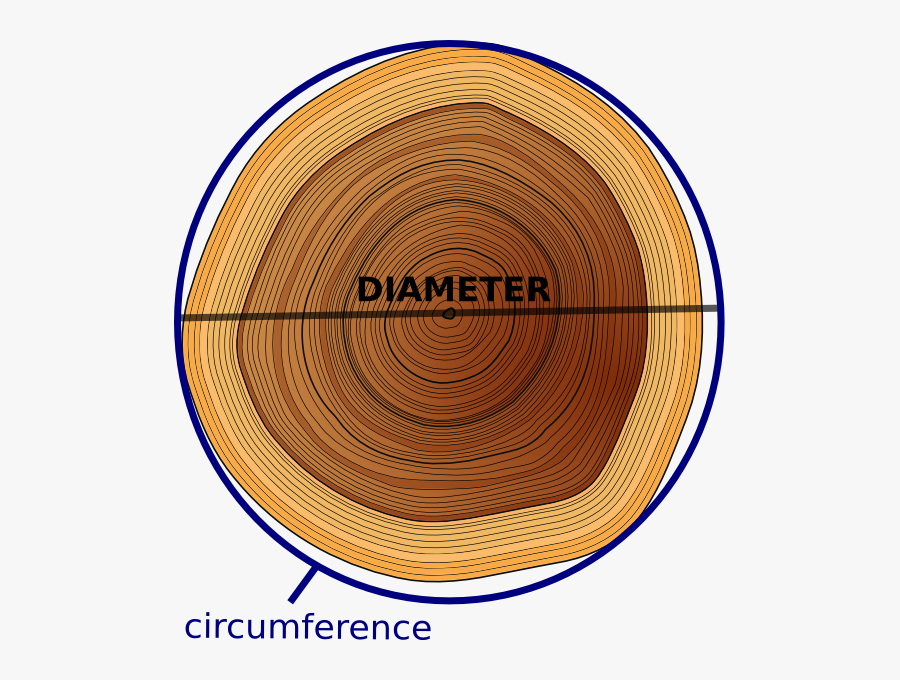 Circle, Transparent Clipart