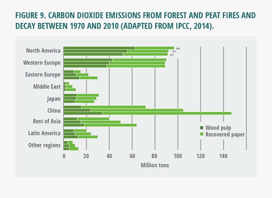 Carbon Dioxide Emissions From Forest And Peat Fires - Global Forest Based Industry, Transparent Clipart