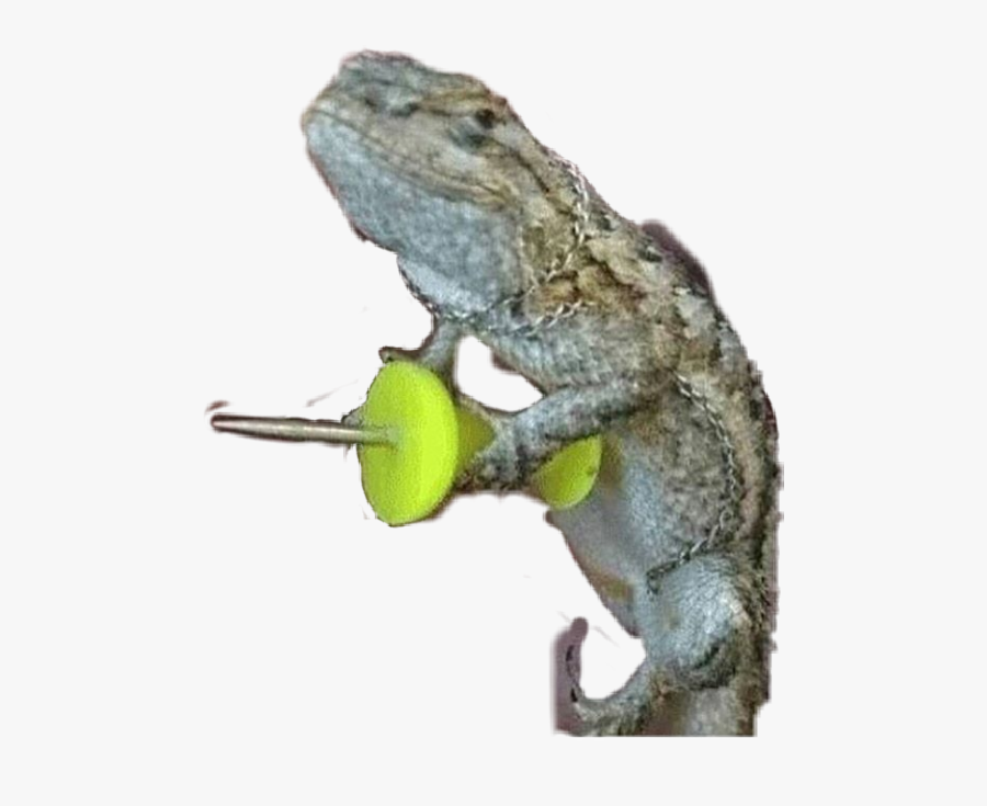 #geko #gecko #thumbtack #love #riverdale #fanartofkai - Switch To Geico Meme, Transparent Clipart