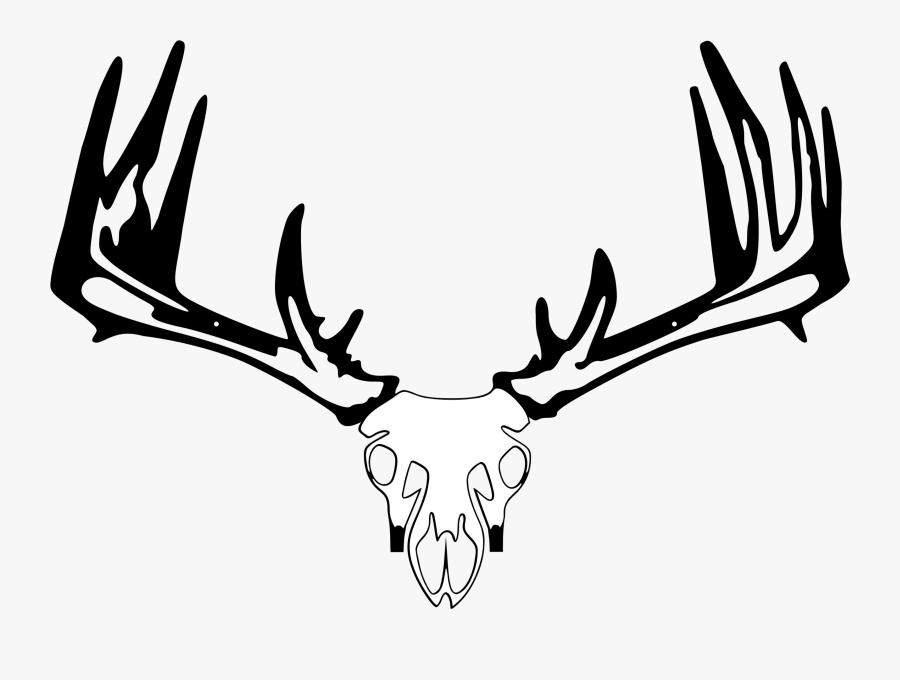 Whitetail Deer Skull Drawings - Pse Archery Logo, Transparent Clipart