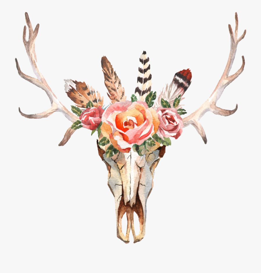 Flower Clipart Skull - Watercolor Flowers And Feathers, Transparent Clipart