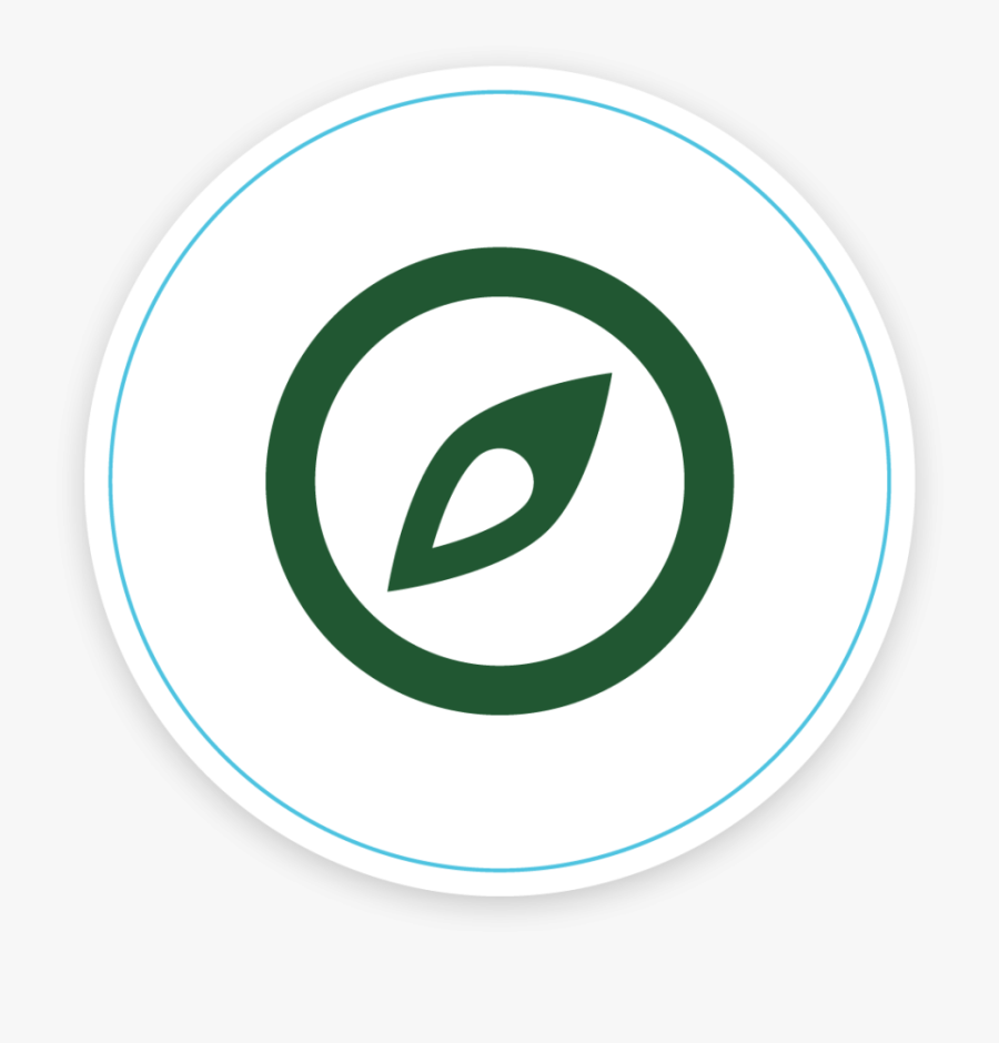 Circle, Transparent Clipart