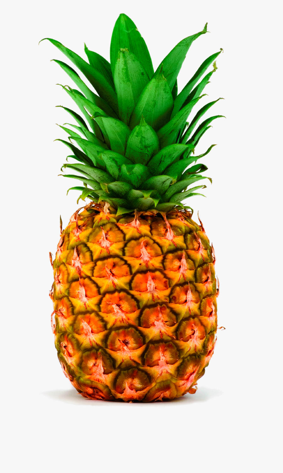 Pineapple Clipart Png, Transparent Clipart