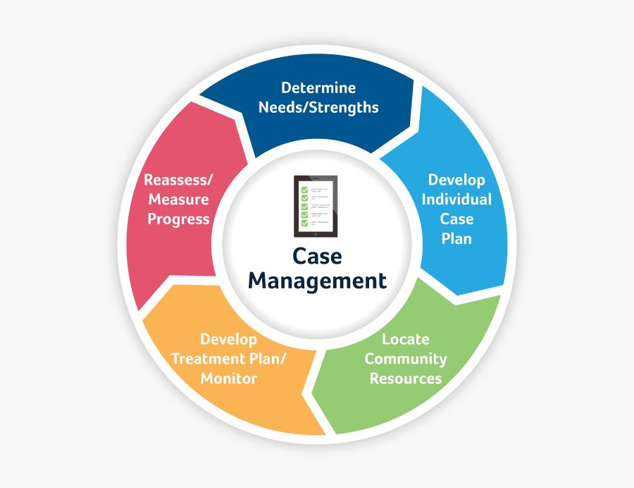 Case Management Wheel - Test And Learn Cycle, Transparent Clipart