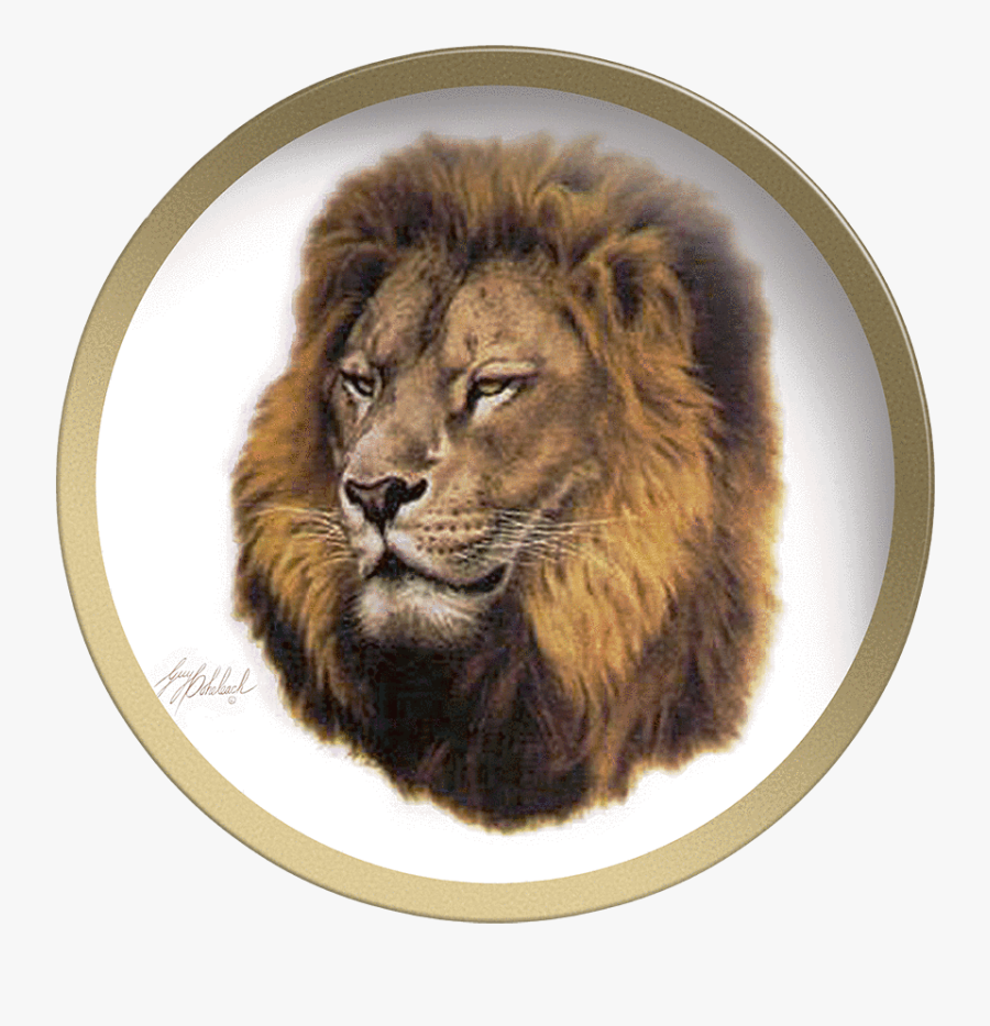 Lion Head Picture - Masai Lion, Transparent Clipart