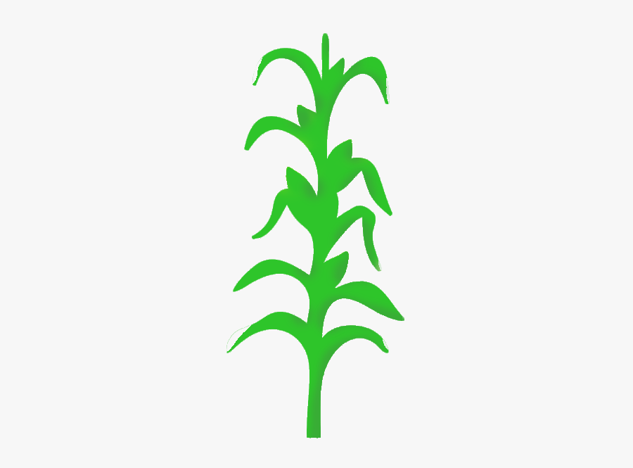 Wall Decal Stencil Mural Painting - Corn Plant Icon, Transparent Clipart