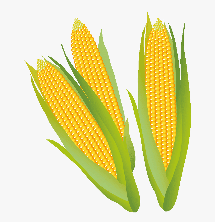 Corn Clipart Corn Stalk - Corn On The Cob, Transparent Clipart