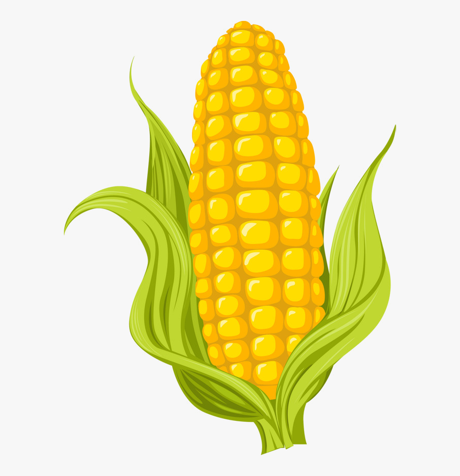 Corn Cartoon Yellow Clipart Transparent Png - Clipart Corn On The Cob, Transparent Clipart