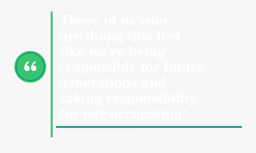 Circle, Transparent Clipart