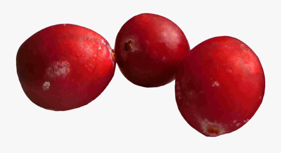 Cranberry Transparent Background, Transparent Clipart