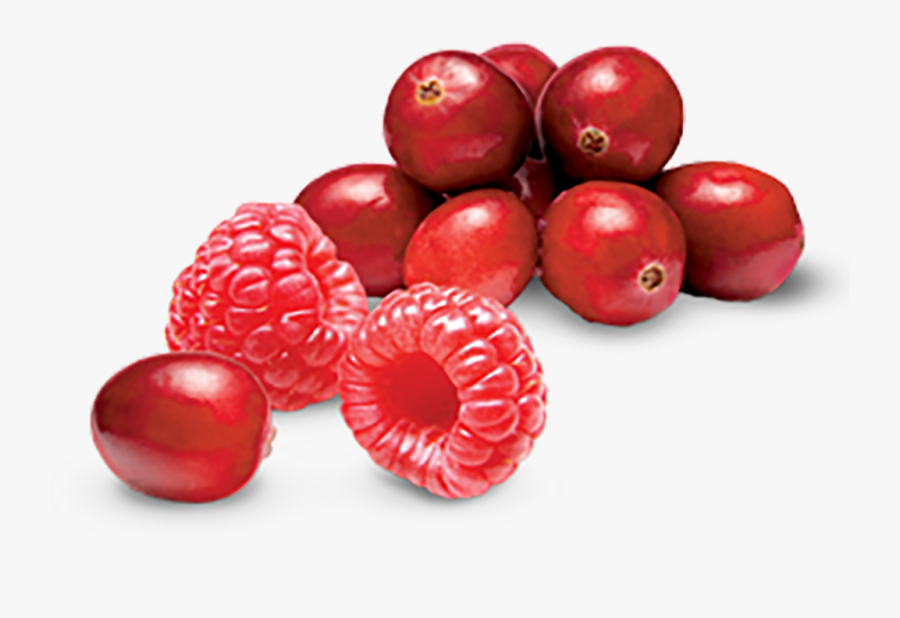 Cranberry Raspberry Tart - Raspberry Cranberry, Transparent Clipart