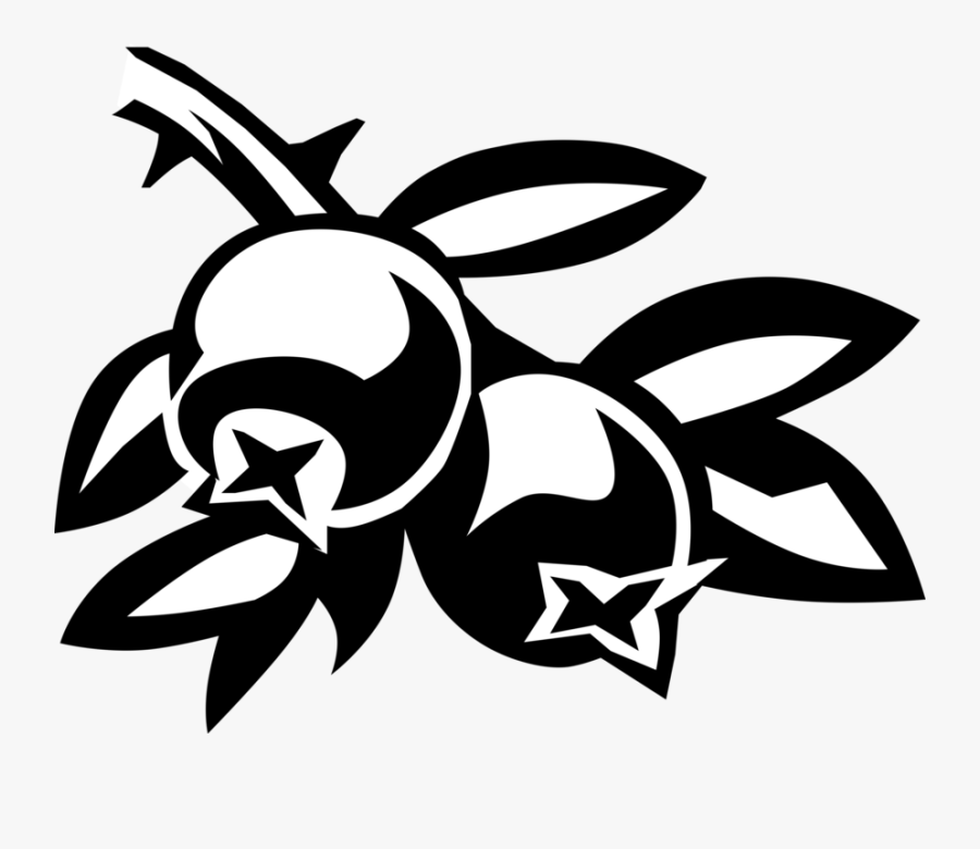 Vector Illustration Of Cranberry Fruit Processed Into - Cranberry Plants Clipart, Transparent Clipart