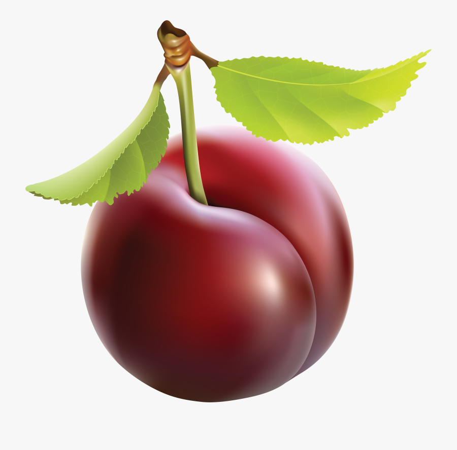 Plum Png, Transparent Clipart