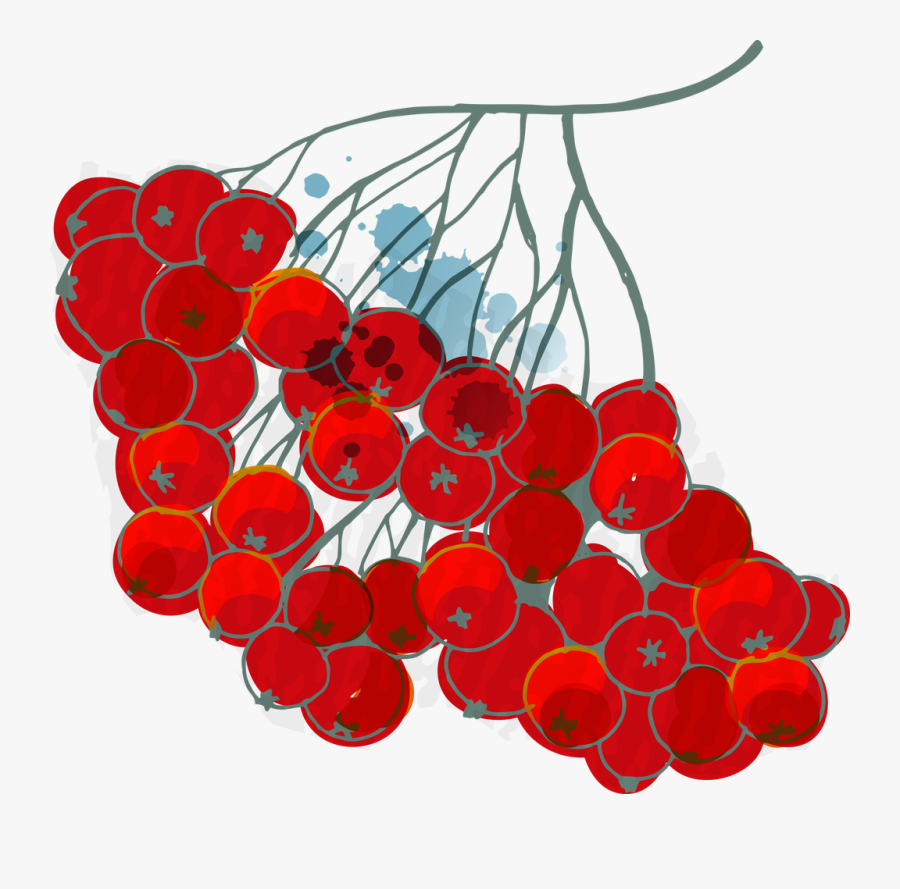 Cranberry Protection Magic - Circle, Transparent Clipart